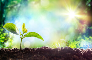 Depositphotos_96385166_L